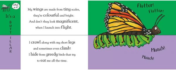 Axel Scheffler’s Flip Flap Minibeasts - Зображення 2